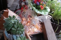 IMG-20190811-WA0006 (Copy)