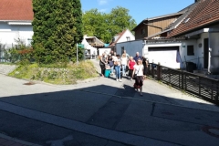 IMG-20190811-WA0055 (Copy)