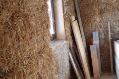 20201117_134809 (Copy)