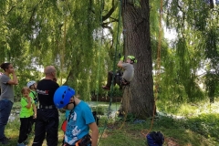 20180630_115737 (Copy) (Copy)