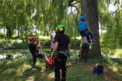 20180630_120607 (Copy) (Copy)