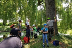 20180630_120627 (Copy) (Copy)