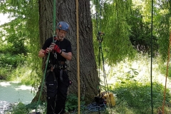 20180630_123113 (Copy) (Copy)