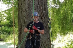 20180630_123123 (Copy) (Copy)