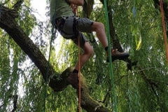 20180630_123132 (Copy) (Copy)
