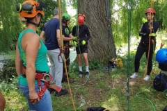 20180630_124101 (Copy) (Copy)