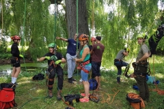 20180630_124426 (Copy) (Copy)