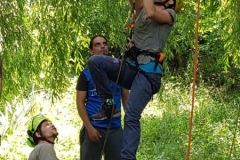 20180630_124556 (Copy) (Copy)