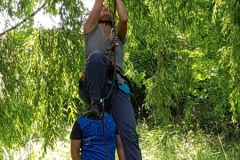 20180630_124558 (Copy) (Copy)