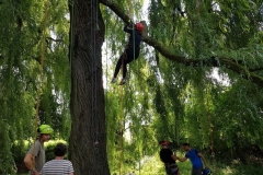20180630_125428 (Copy) (Copy)