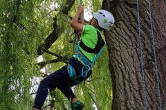 20180630_130219 (Copy) (Copy)