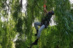 20180630_131124 (Copy) (Copy)