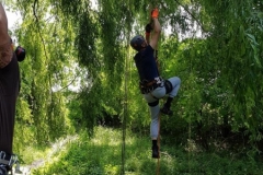 20180630_131407 (Copy) (Copy)