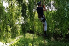20180630_131408 (Copy) (Copy)