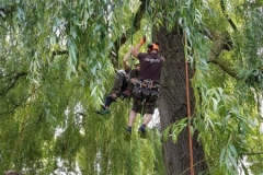 20180630_131445 (Copy) (Copy)