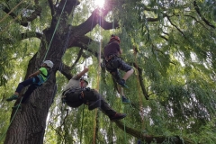 20180630_131519 (Copy) (Copy)