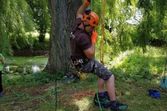 20180630_131617 (Copy) (Copy)