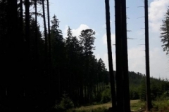 20180630_143315 (Copy) (Copy)