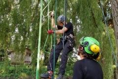 20180630_163942 (Copy) (Copy)