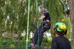 20180630_163943 (Copy) (Copy)