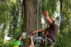 20180630_170908 (Copy) (Copy)