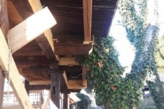 20191229_134336 (Copy)