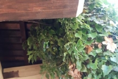 20191229_134344 (Copy)