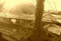 20191229_134511 (Copy)