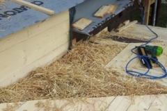 20200212_104536 - Kopie (Copy)