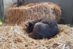 20200222_143241 (Copy)