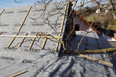 20200222_143750 (Copy)