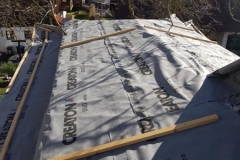 20200222_143826 (Copy)