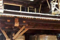 2019JulibisNovembert015