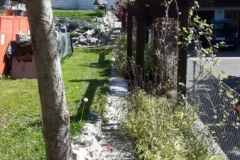 2019JulibisNovembert019