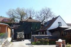 2019JulibisNovembert026