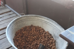 2019JulibisNovembert031