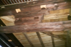 2019JulibisNovembert034