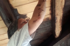 2019JulibisNovembert035