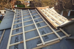 2019JulibisNovembert037