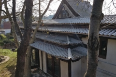 20201108_125839 (Copy)