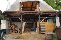 2019JulibisNovembert017