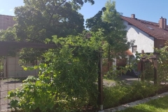 2019JulibisNovembert027