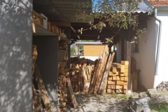 2019JulibisNovembert029