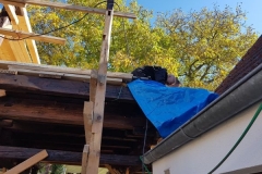 2019JulibisNovembert037