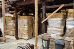 2019JulibisNovembert044