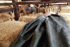 2019JulibisNovembert045