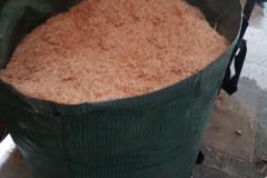 2019JulibisNovembert052