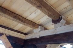 2019JulibisNovembert065