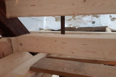 2019JulibisNovembert069