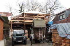 2019JulibisNovembert070